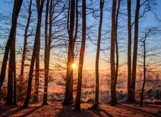 Z czego są kąpielówki? Z czego są kąpielówki?