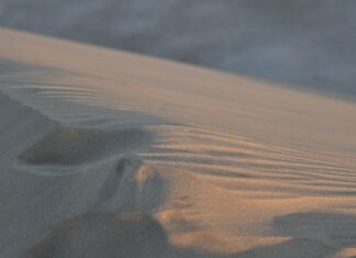 Czy żłobek może odmówić przyjęcia dziecka z katarem? Czy żłobek może odmówić przyjęcia dziecka z katarem?