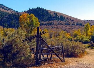 Ile kosztuje siding elewacyjny?