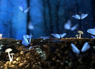 Czym przykleić drewno do elewacji?