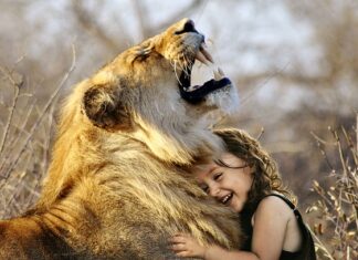 Jakie są fajne gry LEGO? Jakie są fajne gry LEGO?