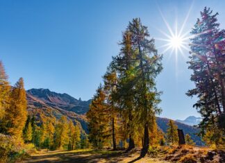 Z czego zrobić masę sensoryczna? Z czego zrobić masę sensoryczna?