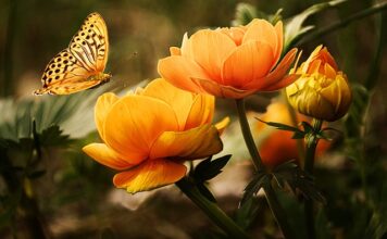 Co do mycia dla niemowląt?