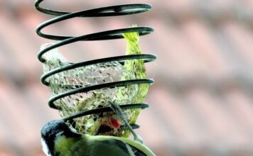 Dlaczego mam za mało pokarmu?