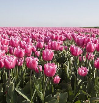 Jaka moc żarówek do girland?